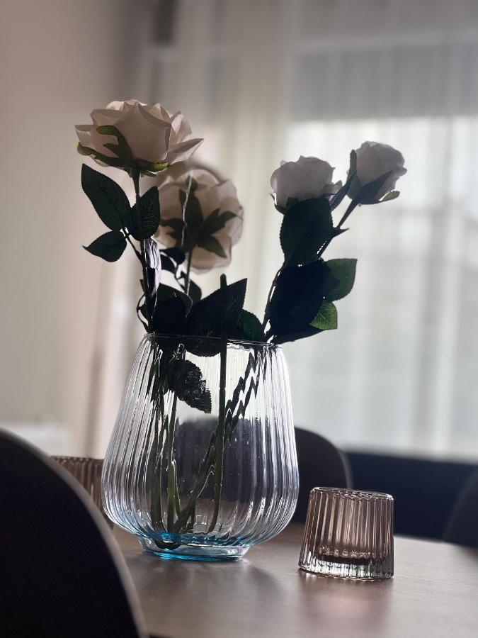 Alma Rose Apartment Korça Kültér fotó